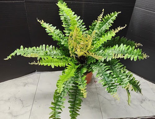Artificial Boston Fern Silk Flower Arrangements pbf433
