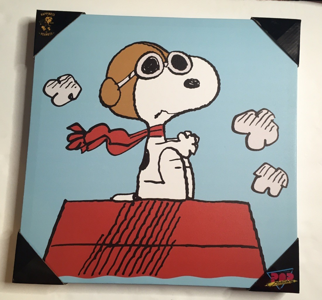 PEANUTS SNOOPY RED BARRON CANVAS WALL ART PRINT 16” X 16” NWT