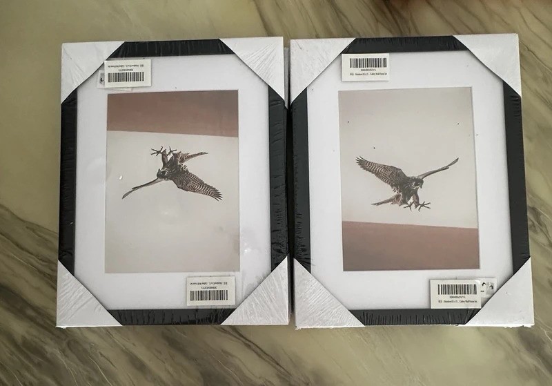 Lot Of 6 – 8.5 X 11 Picture Frames Brand New Sealed