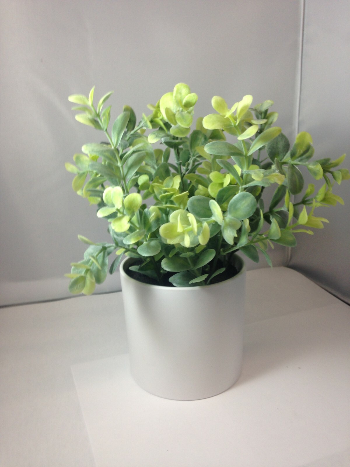 10&Prime; x 4&Prime; Artificial Plant Arrangement in Pot Green/White – Project 62