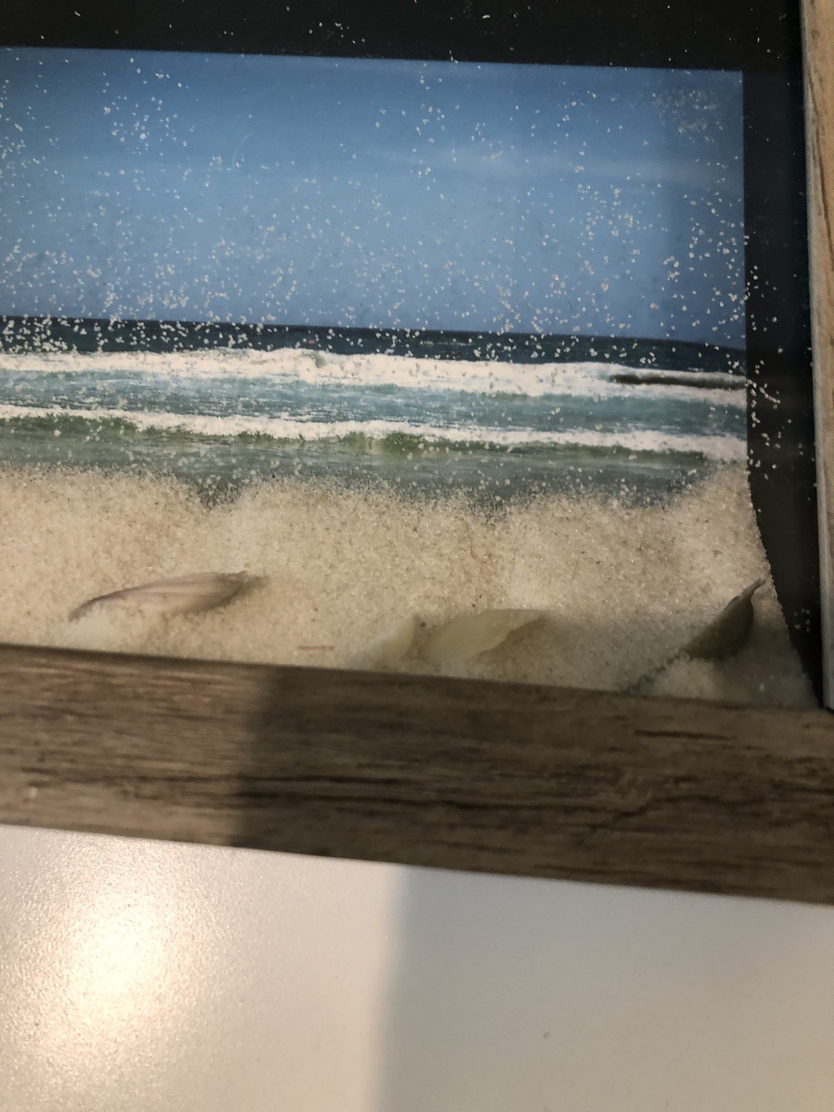 FRAMED NAUTICAL 3D SHADOW BOX Wall Art Shells Sand Inside