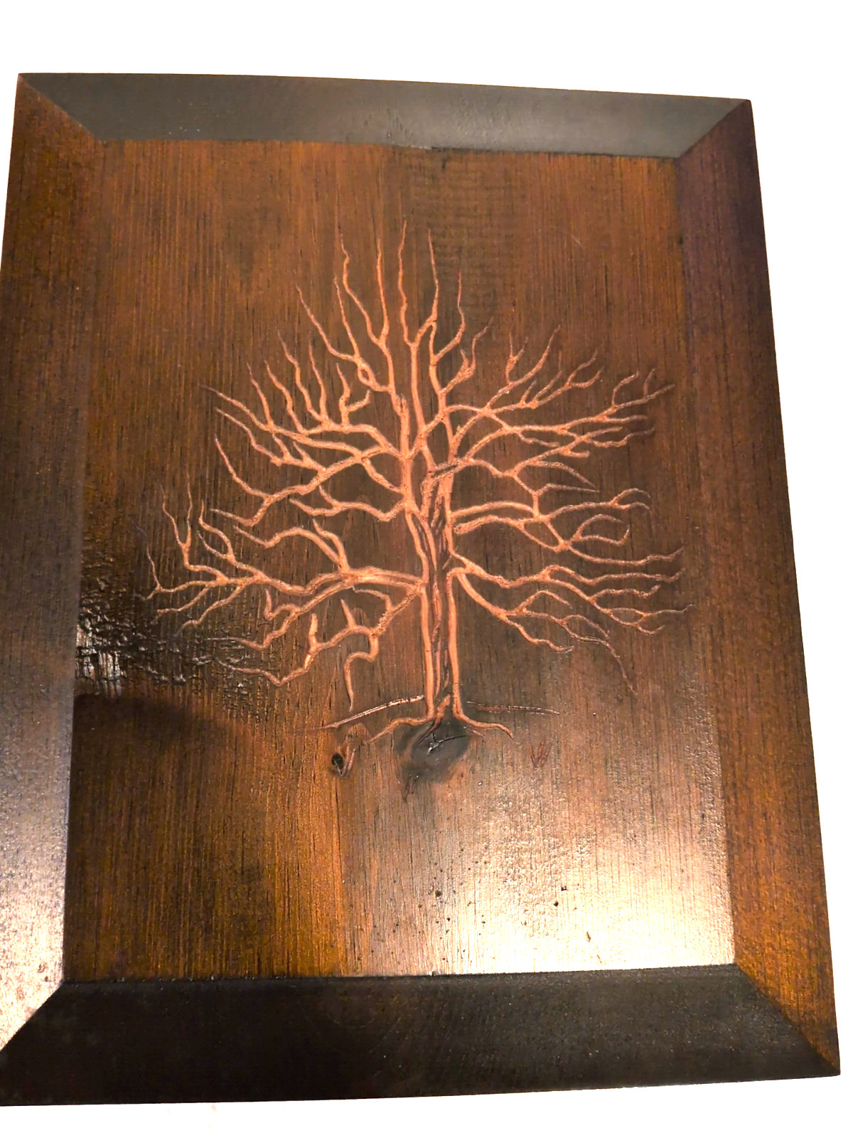 Vintage 1972 Wooden Art Co Tree Wall Plaques Set of 3 Norway Maple Oak Elm MCM