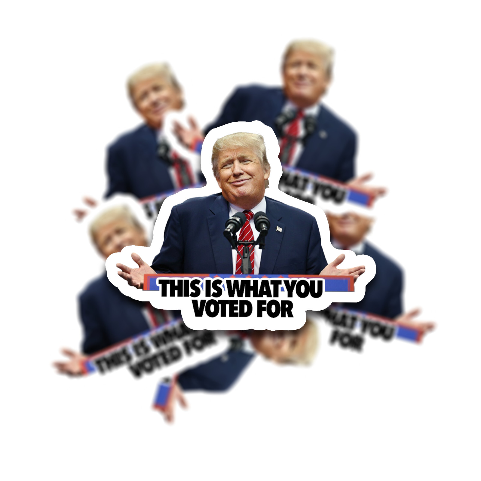 Trump Sticker -« This is What You Voted For » Anti-Trump Political Meme – 12 pack