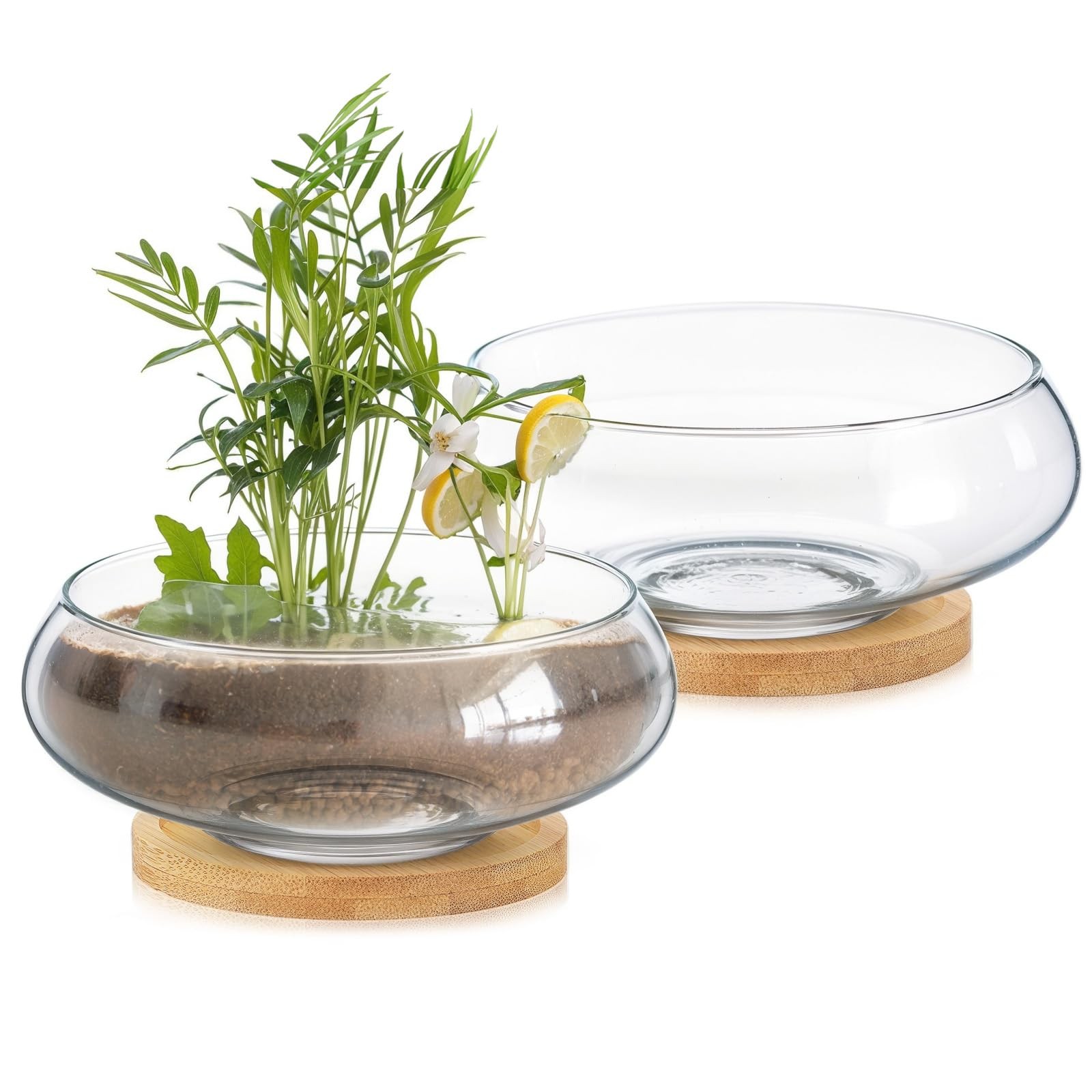 2 Sets Glass Planter Bowls for Flowers with Tray 6 » Round Glass Vase Bowl Hy…