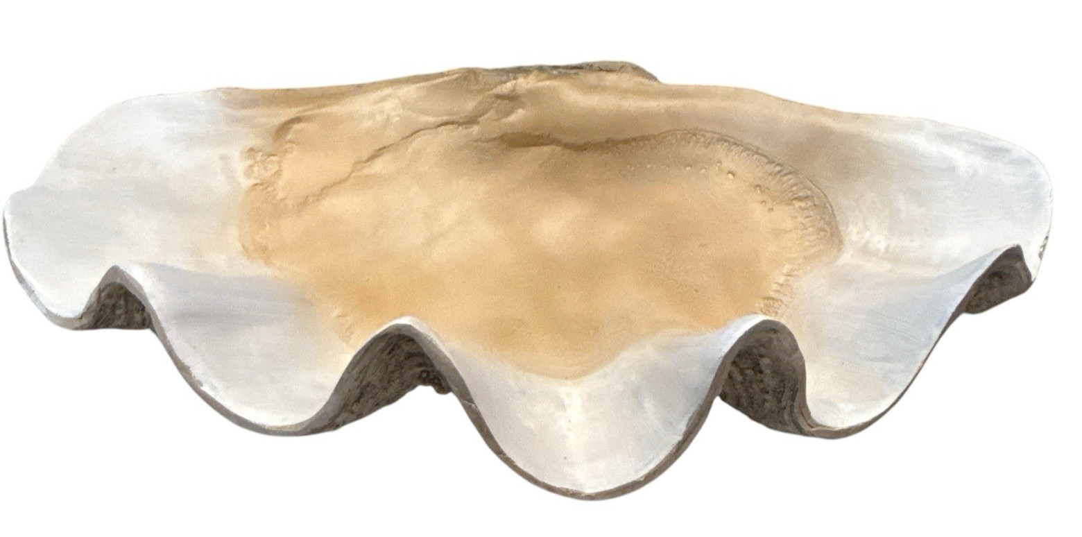 Uttermost Clam Coastal Polyresin Shell Bowl Antique White Brown Gray 16800 NEW