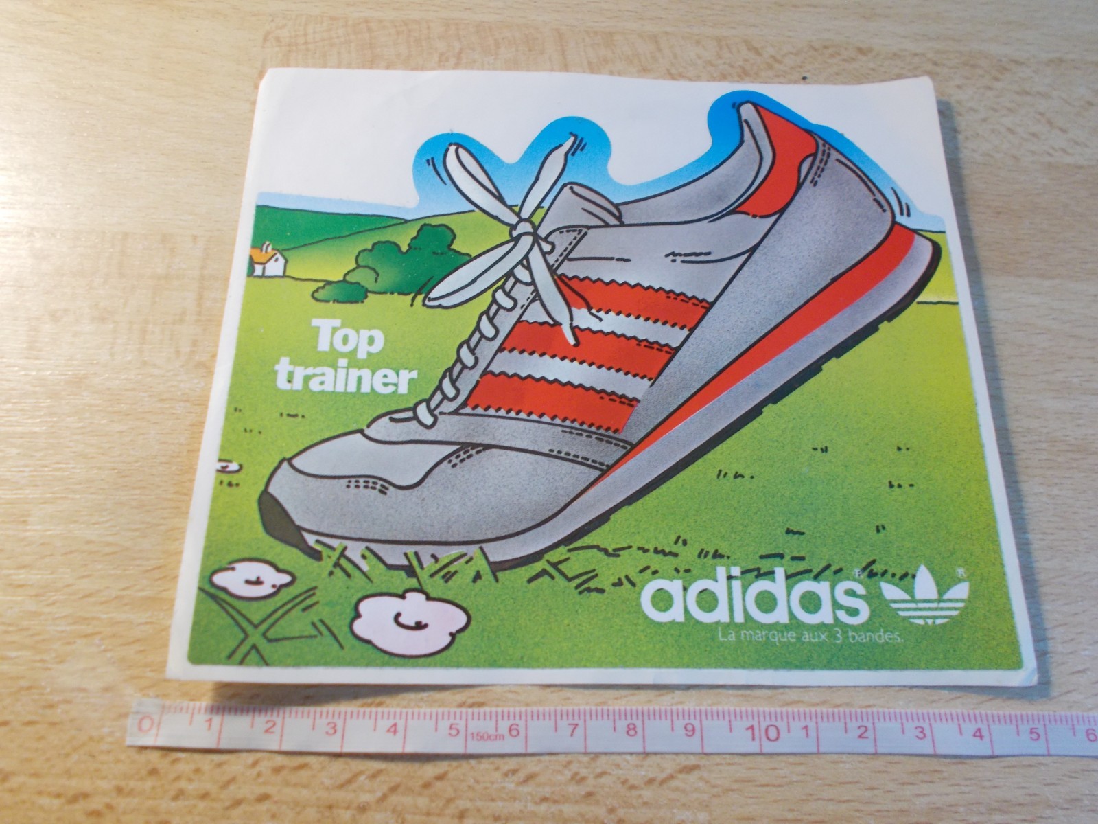 Sticker Adidas – Top Trainer