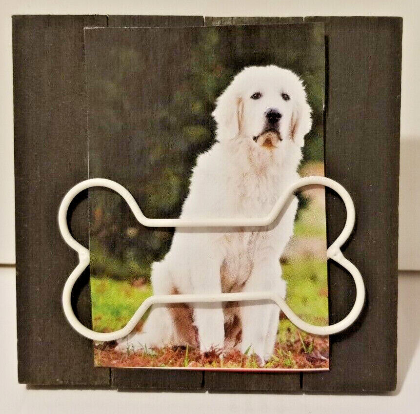 2×3 Doggy Black Wood With Bone Wire Clip Mini Picture Frame 2×3