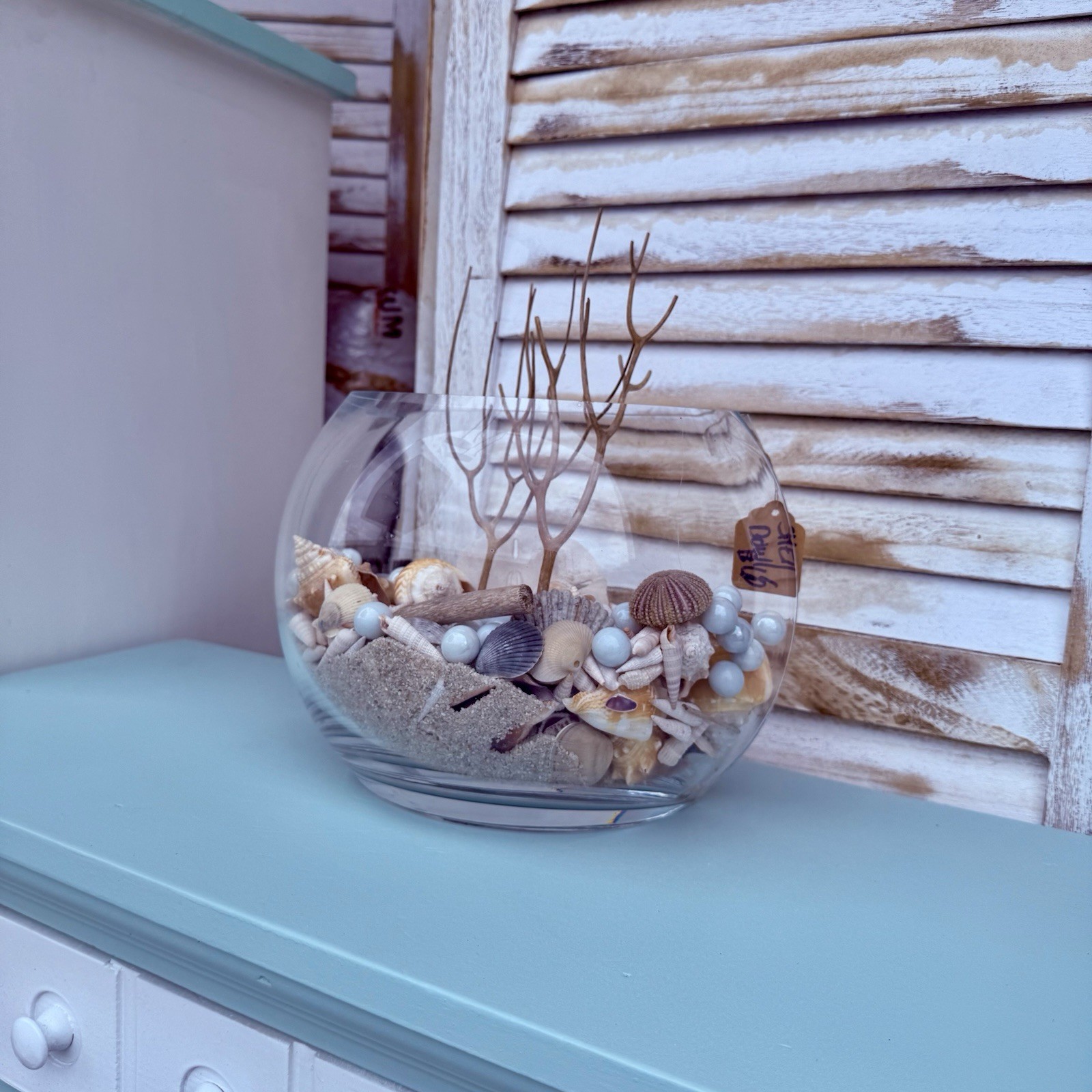 Coastal Shell Glass Bowl Siesta Key Real Sea Shells Urchins Starfish Driftwood
