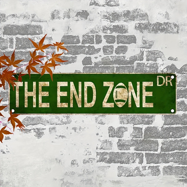 « The End Zone Dr » Vintage Football Metal Sign Retro Sports Game Room Wall Decor