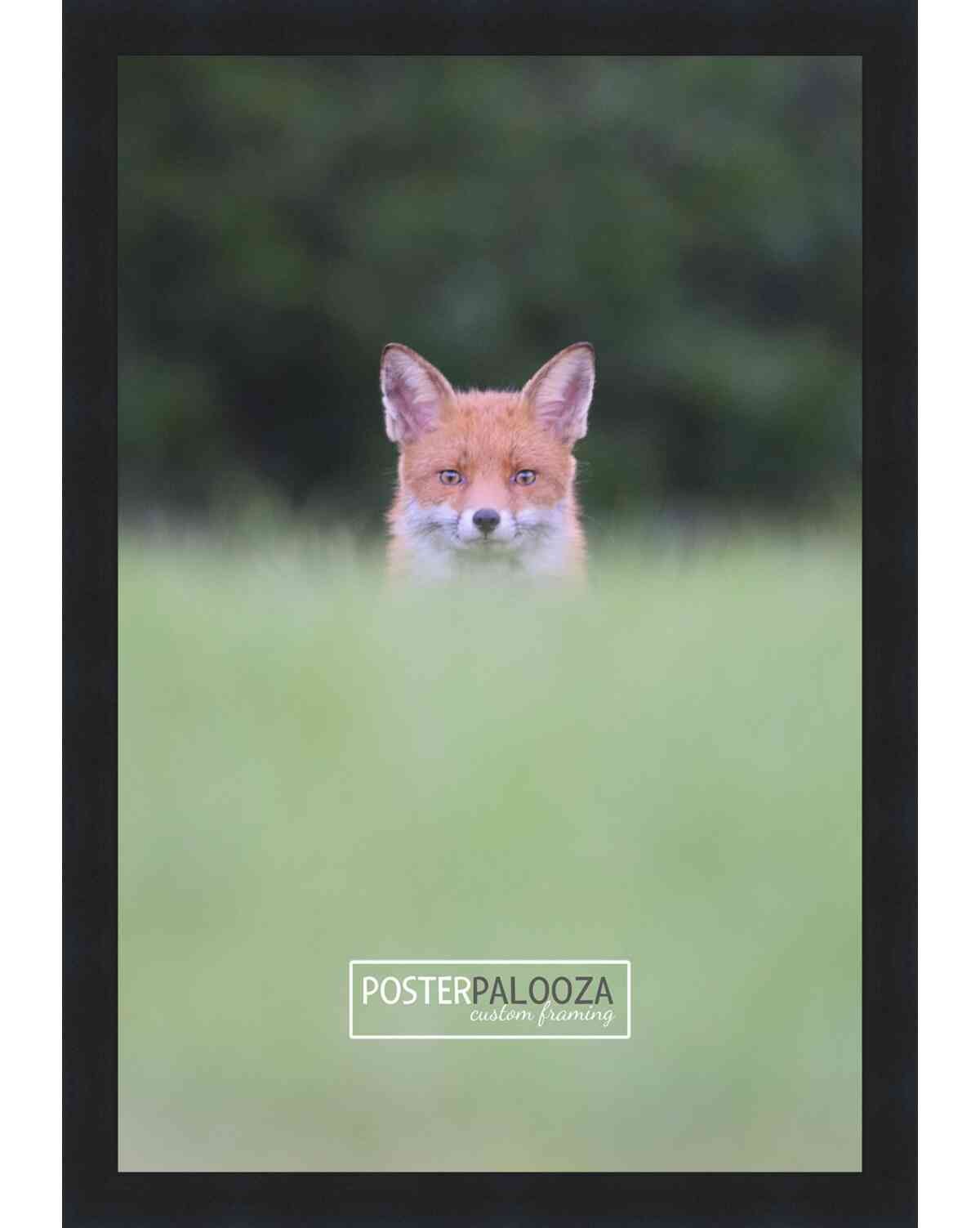 Photo Size Minimalist Black Picture Frame – UV Acrylic, Backing, Hardware