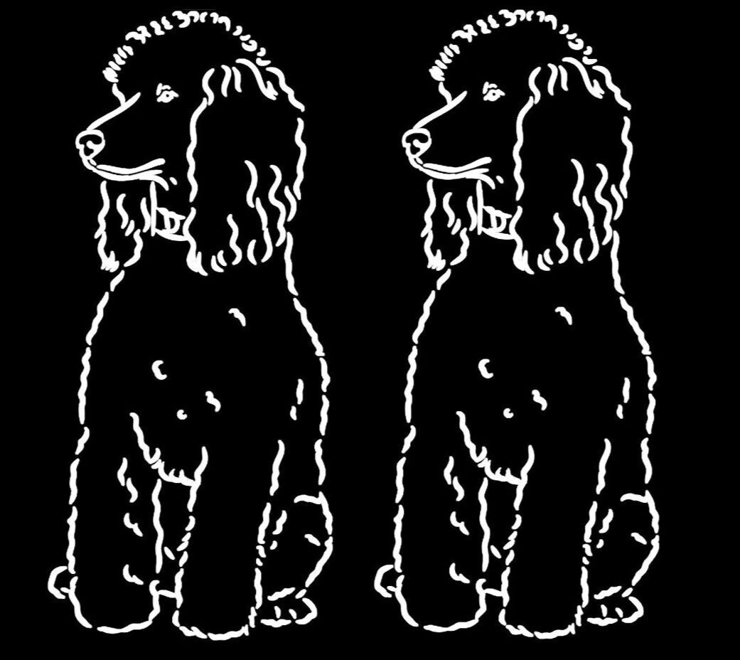 Poodle Dog Graphic Two 6&Prime; White Vinyl Decals Car Windows Laptop Tablet