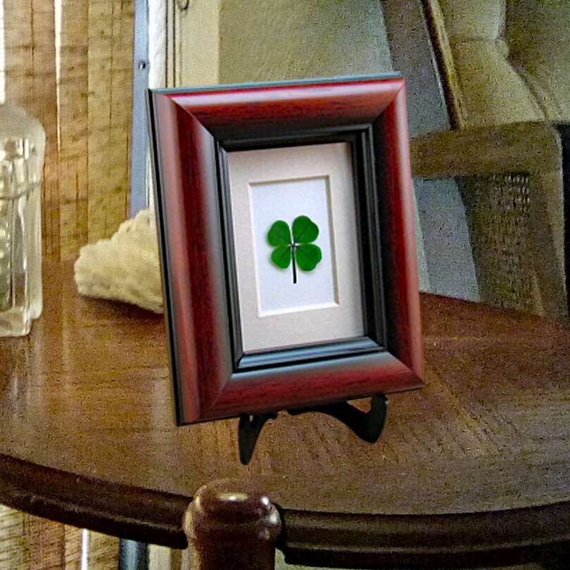 Good Luck Mahogany Frame with a Real 4 Leaf Clover for Desk, Shelf or Wall MH-4F