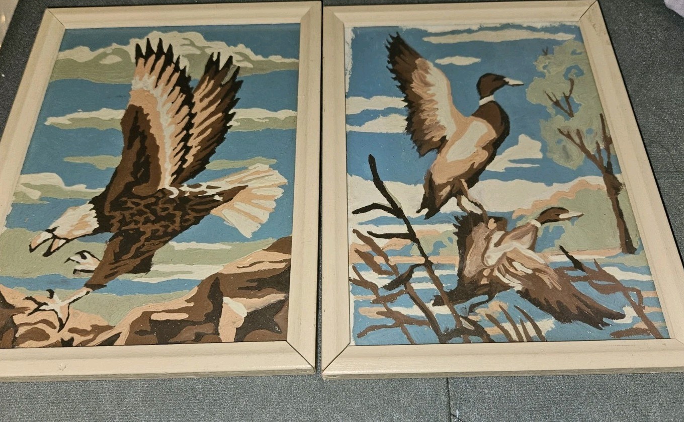 Vintage Paint By Numbers Eagle Ducks Retro Home Decor Painting 6&Prime; X 8&Prime; Framed