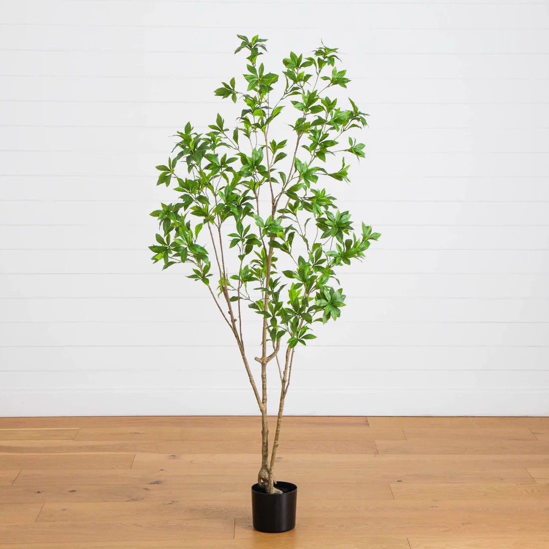 6&prime; Artificial Minimalist Japanese Pieris Tree