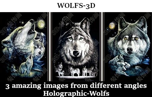 3D Lenticular Picture / Poster Artwork Unique Wall Decor Holographic Pics-2 PACK