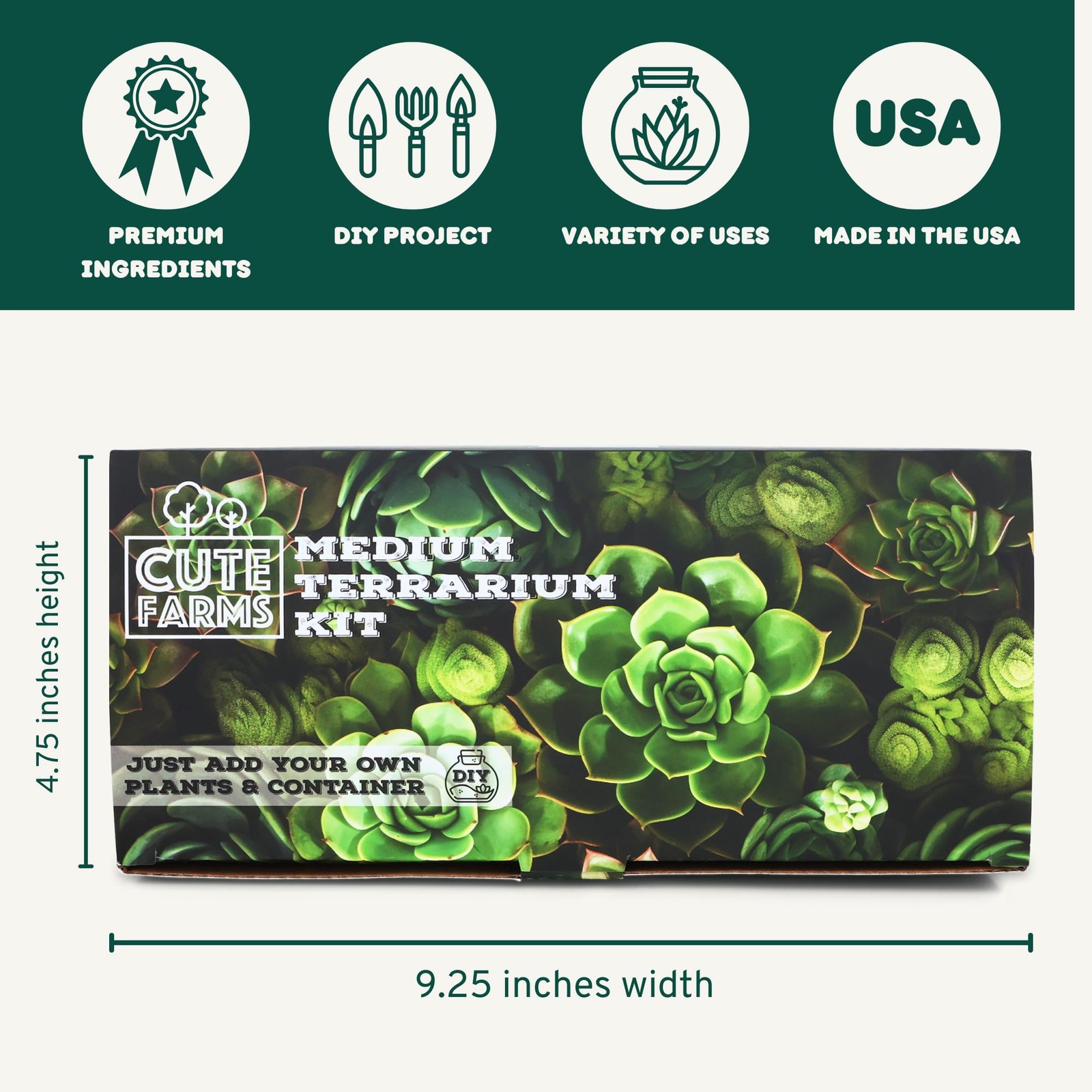 DIY Succulent Terrarium Kit with Soil, Pebbles, Tools & Care Guide for All Ages