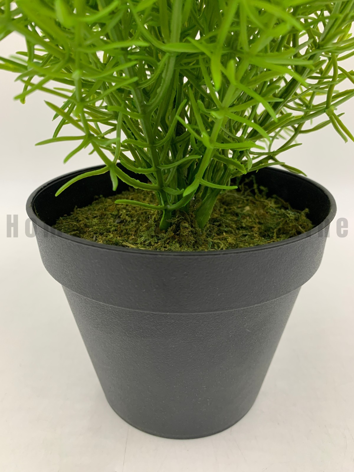 Pottery Barn Faux Potted Asparagus Fern Houseplant Medium 13&Prime; #S8007