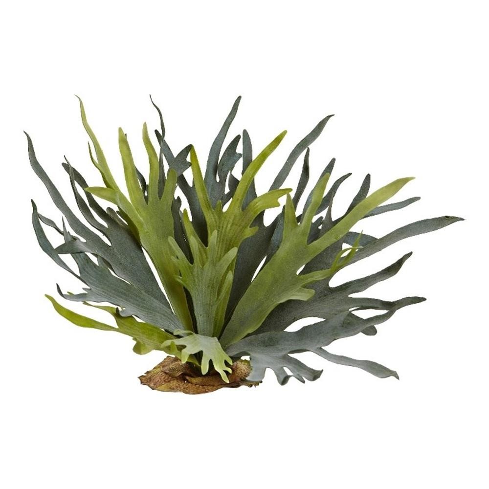 Nearly Natural 21&Prime; Staghorn Fern (Set of 2) in Green