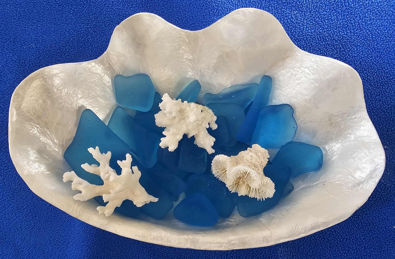 1-CAPIZ SEASHELL Clam Shape Bowl,Wedding Decor,Beach Decor,All Occasion Gifts