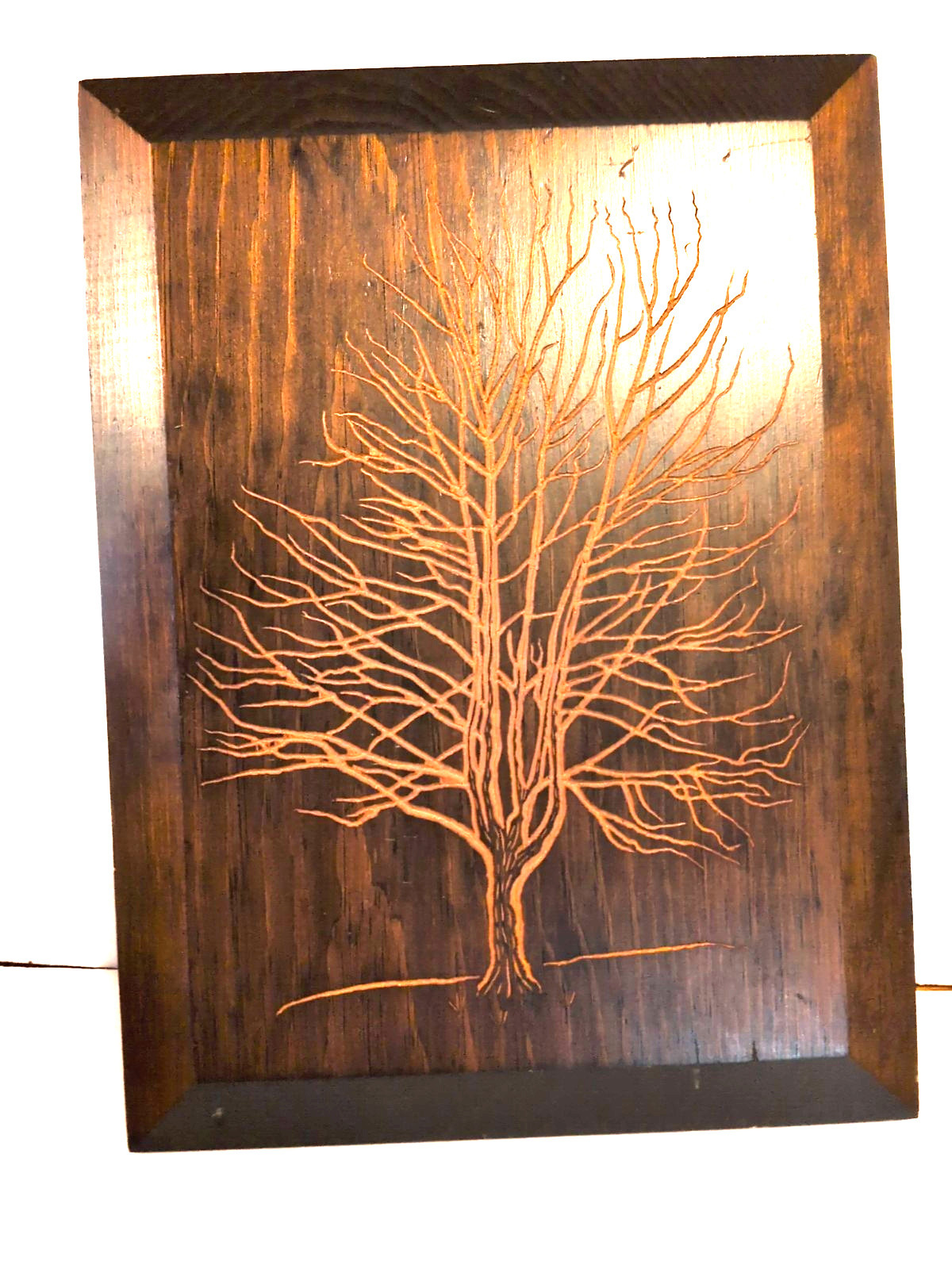 Vintage 1972 Wooden Art Co Tree Wall Plaques Set of 3 Norway Maple Oak Elm MCM