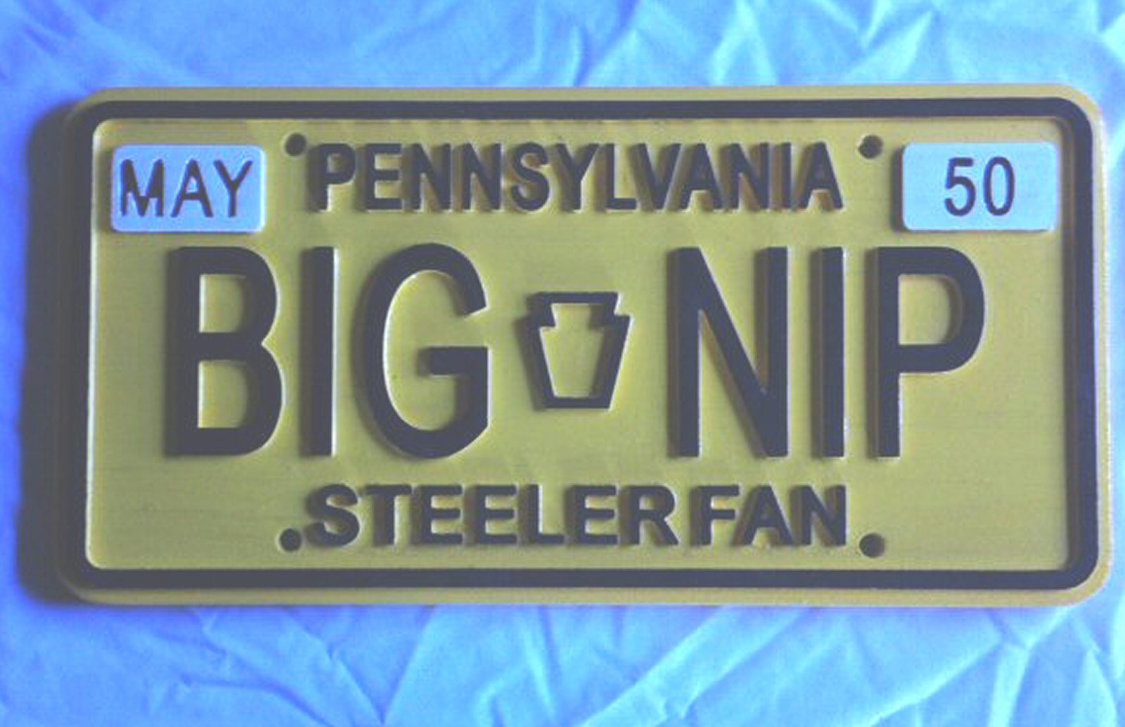 Personalized Pennsylvania Wood license plate 3d routed wood sign Custom