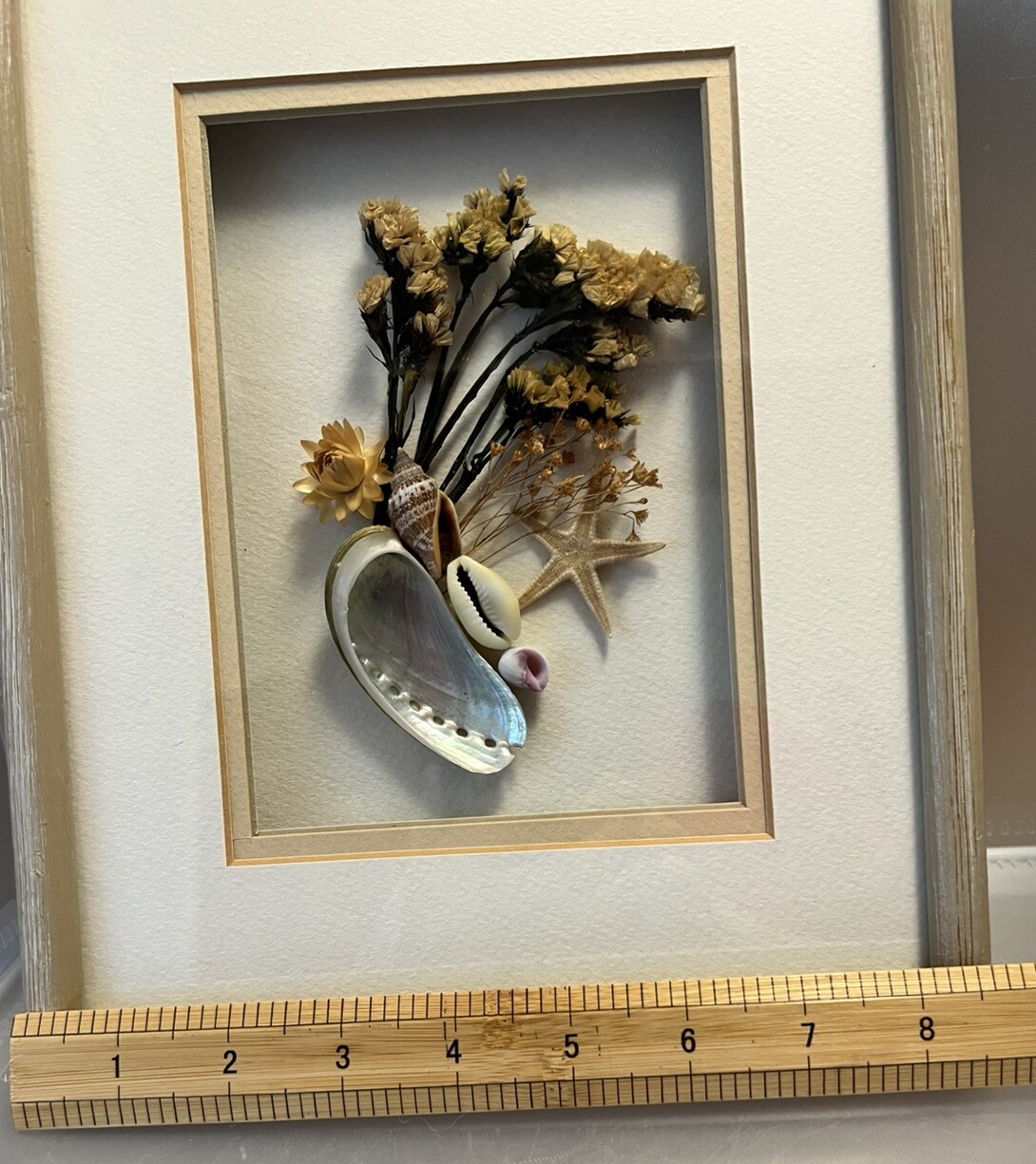 Vintage Seashell / Dried Flower Wood Framed Wall Art Shadow Box 11&Prime; x 8.5&Prime;