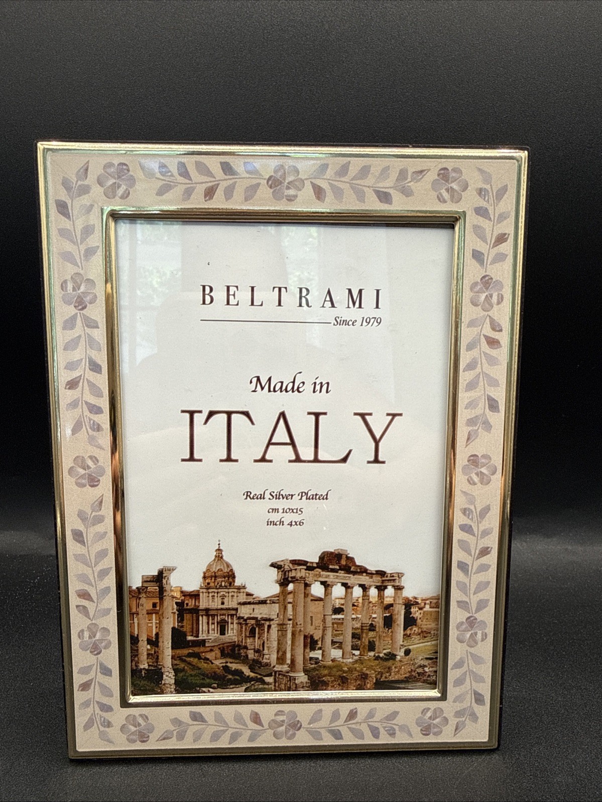 Beltrami Real Silver Plated Made in Italy 4×6 Floral Border Mosaic Look New