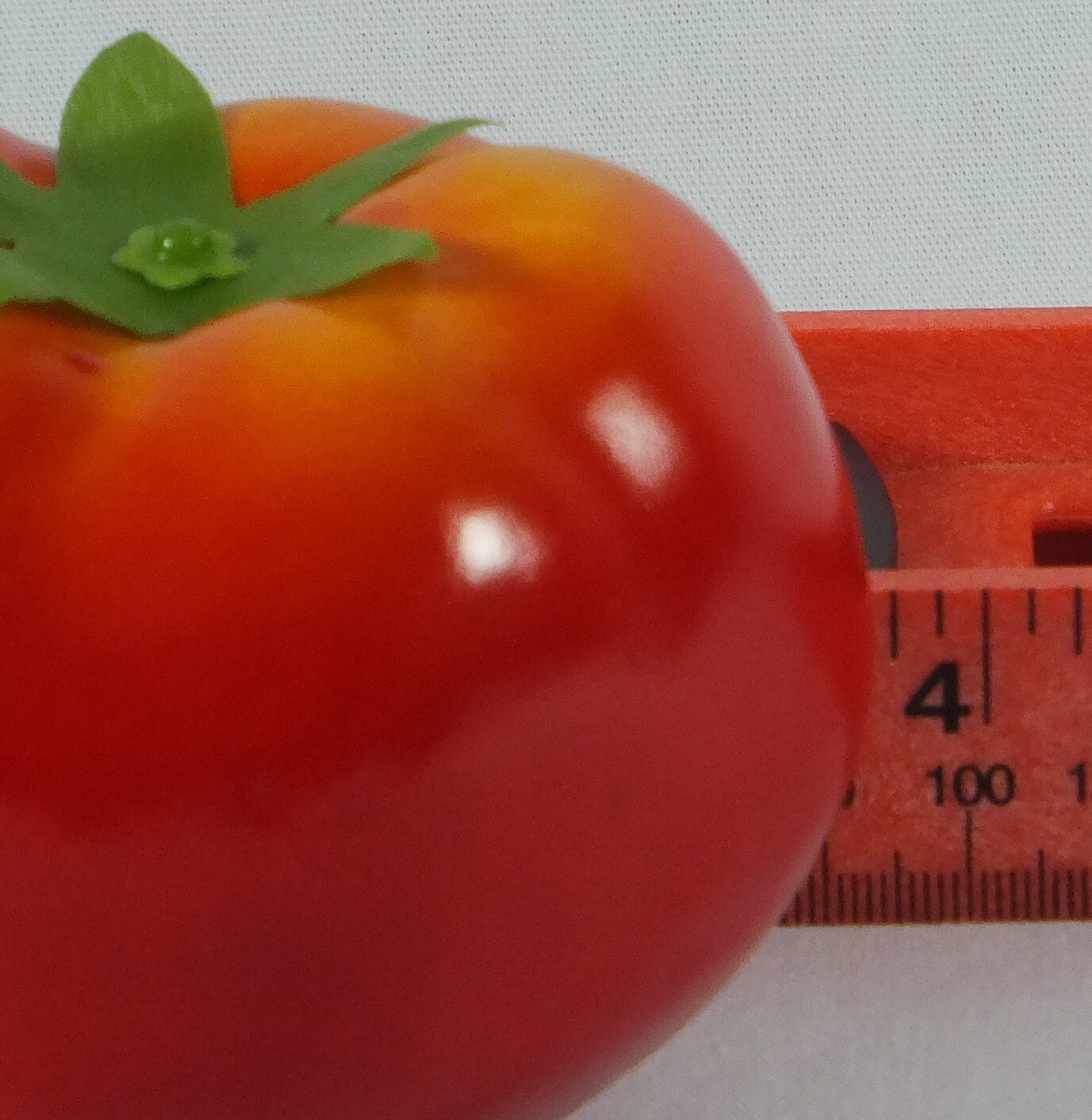 Artificial Tomato Red Plastic Vegetable Tomatoes Fake Vegetables Tomate