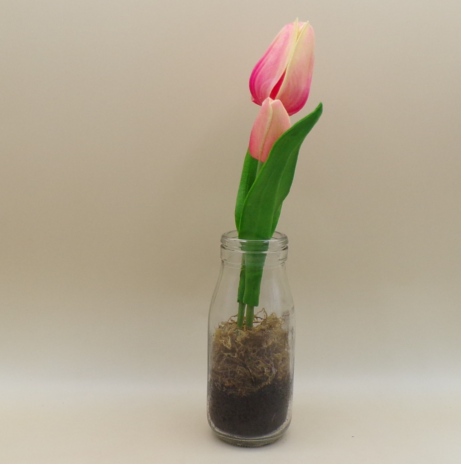 Tulips In Milk Bottle 10.75&Prime; x 2&Prime; New Ganz