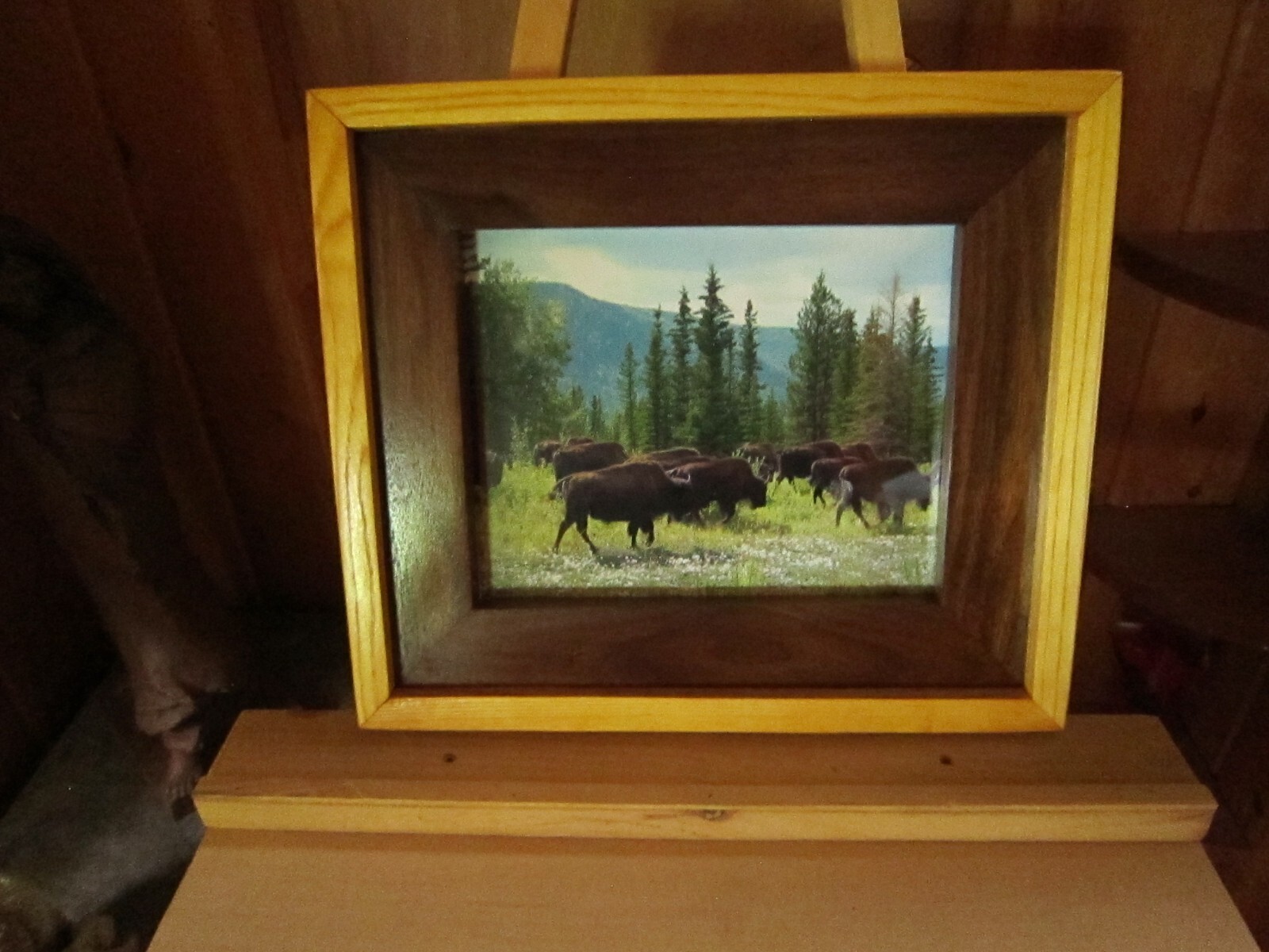 Arizona Buffalo Picture Frame