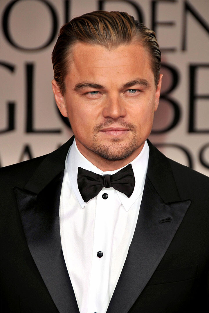 Actor Leonardo Dicaprio In Black Jacket Painting Wall Home Decor – POSTER 20×30