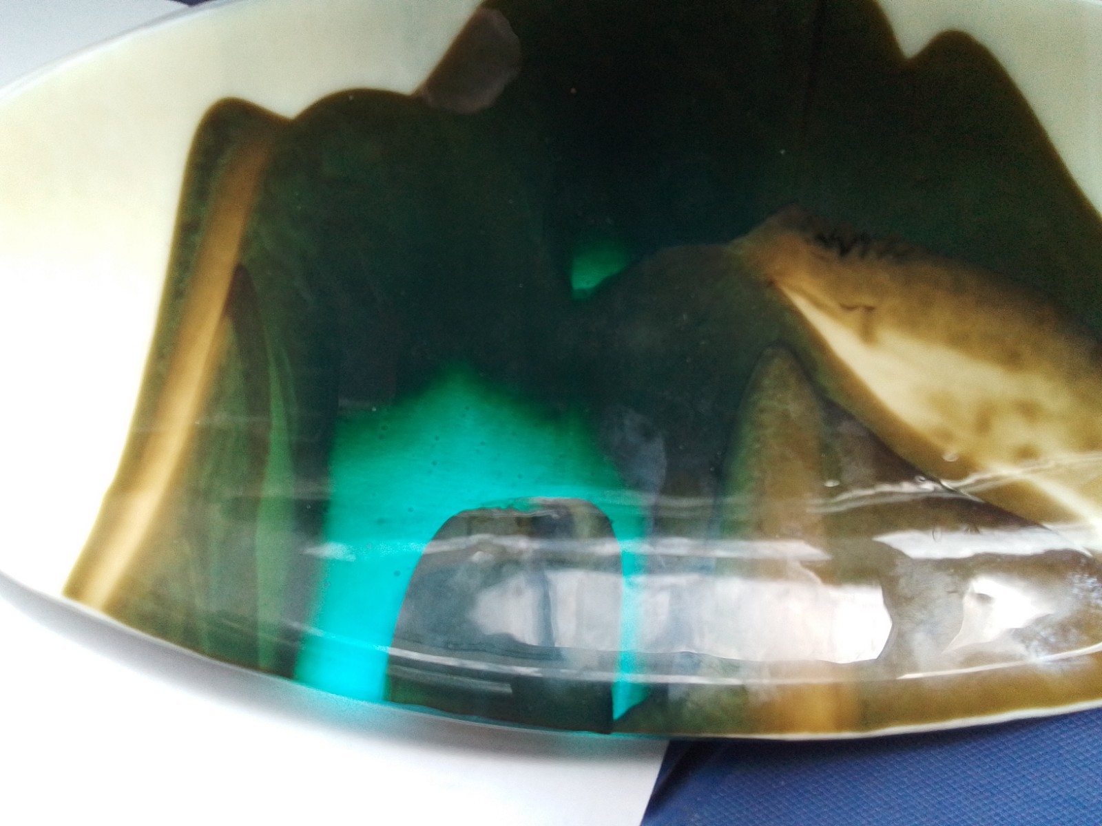 Handcrafted Fused Art Glass Plate Dragonfly Mark Oval Vanilla Brown Teal 14.75&Prime;