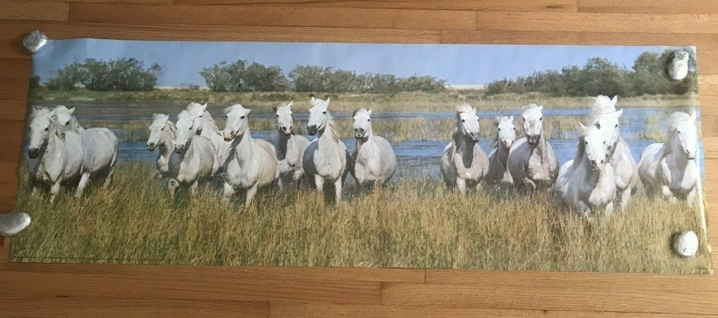 1979 Verkerke White Horses In The Camargue Large Original Poster 62.5&Prime;X 21&Prime; #2