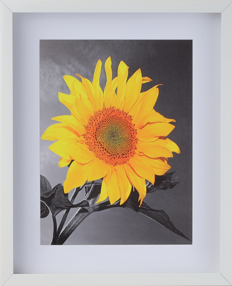 2-3/16&Prime; White Shadow Box Picture Frame 11×14 12×18 16×20 24×36 30×40 36×36 +SALE