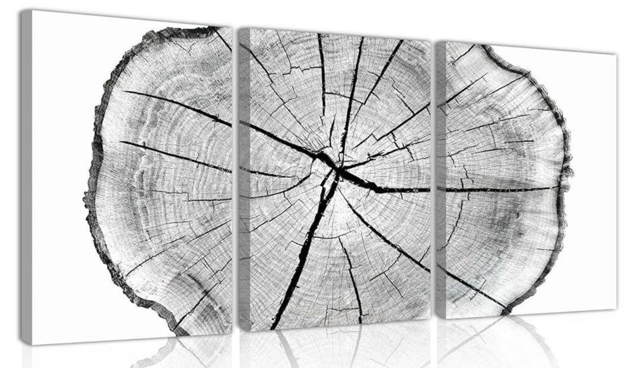 Abstract Tree Rings Canvas Print Set of 3, Wood Texture Art Large Wood Wall Art