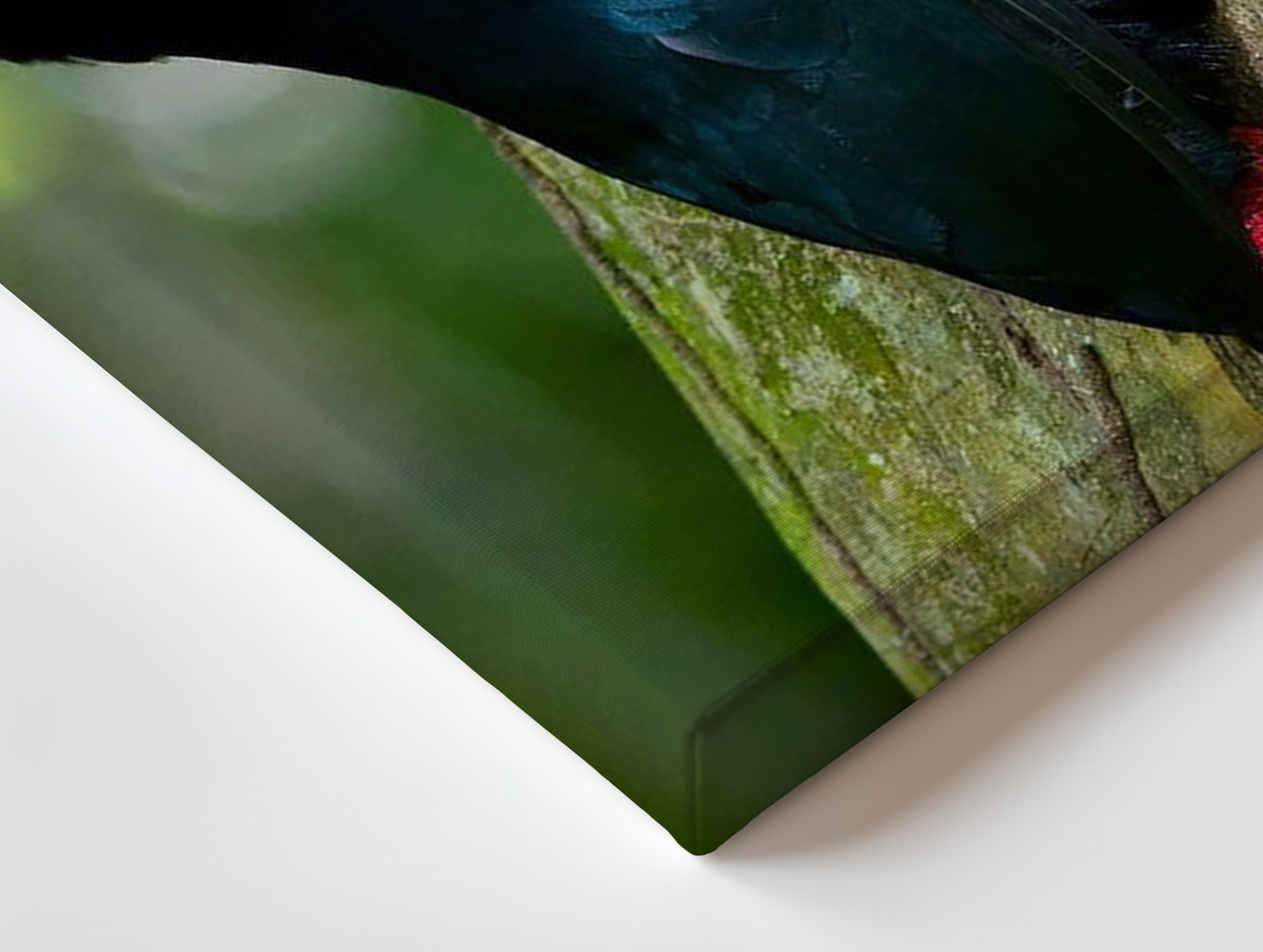 Colorful Toucan Bird On Tree Trunk Vibrant Wildlife Canvas Wall Art Print Home