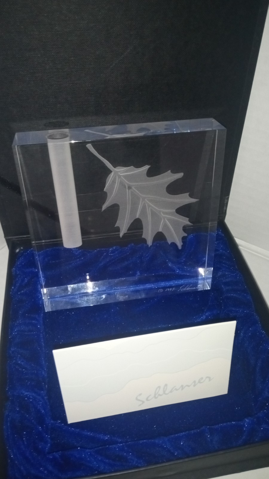 Vintage 1999 Signed Stephen Schlanser Etched Art Glass Ginko Bud Vase Pen Holder