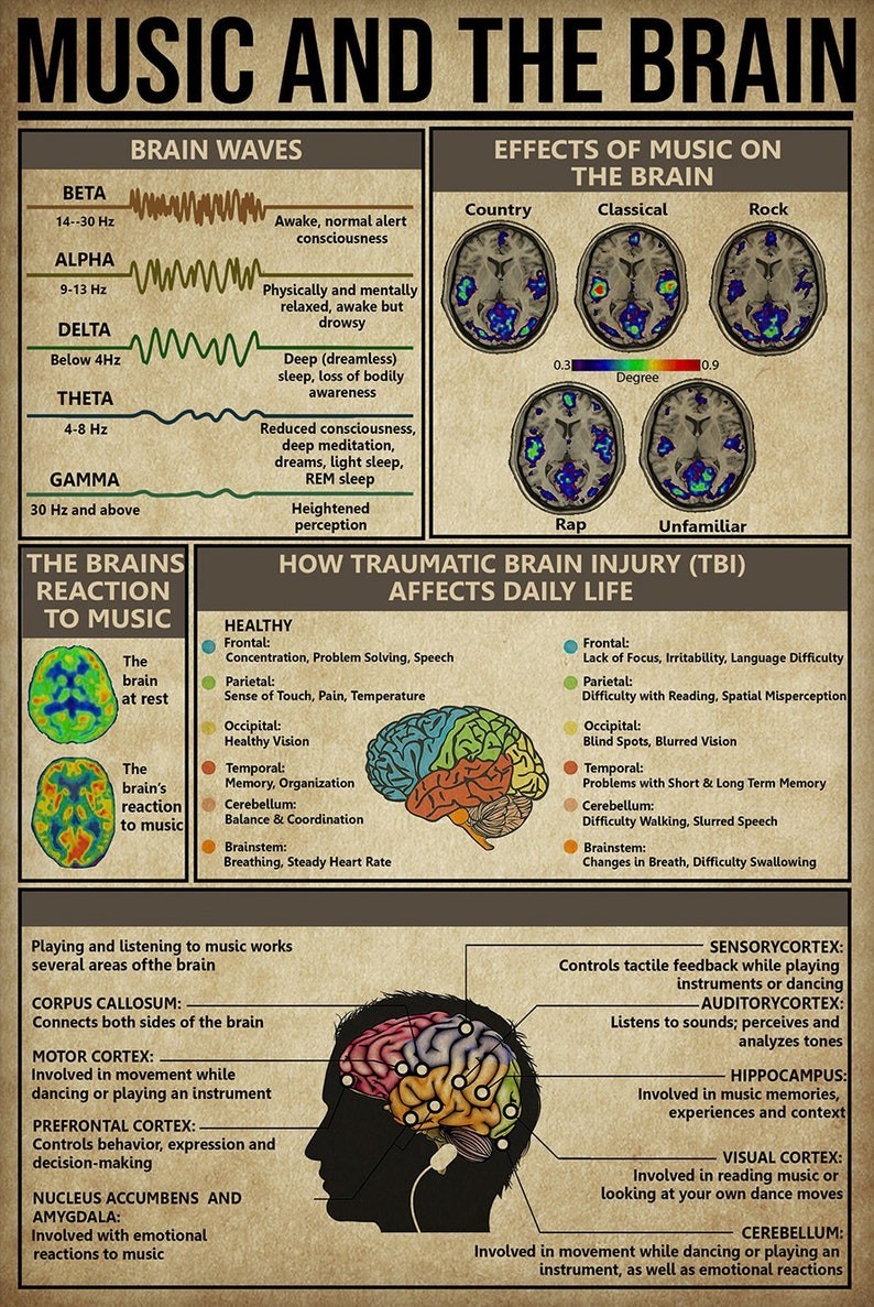 Music and the Brain Educational Poster – Vintage-Style Psychology Wall Decor