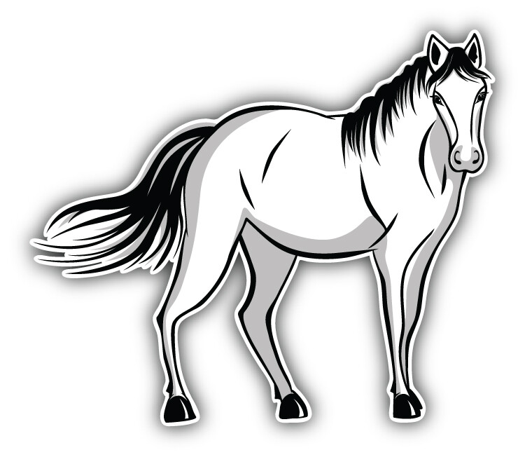 Horse Car Bumper Sticker Decal « SIZES »