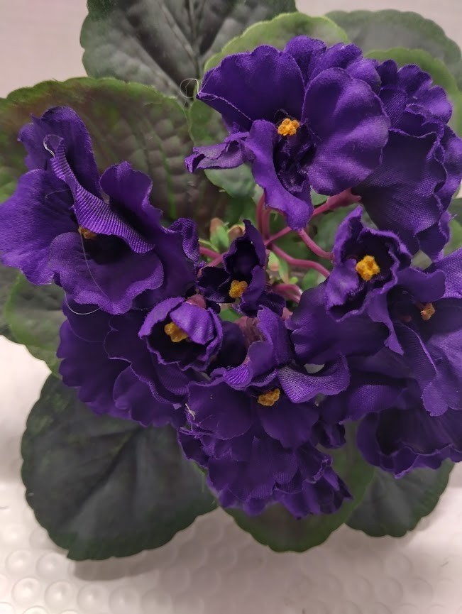 8&Prime; ARTIFICIAL Semi-Miniature African Violet (PURPLE) – no pot.