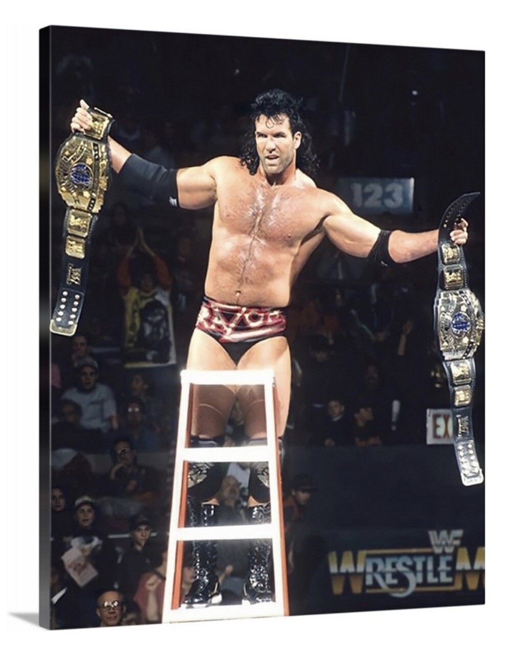 Razor Ramon Scott Hall Canvas 16×20 WWE WWF WCW NWO The Bad Guy Wrestling RIP