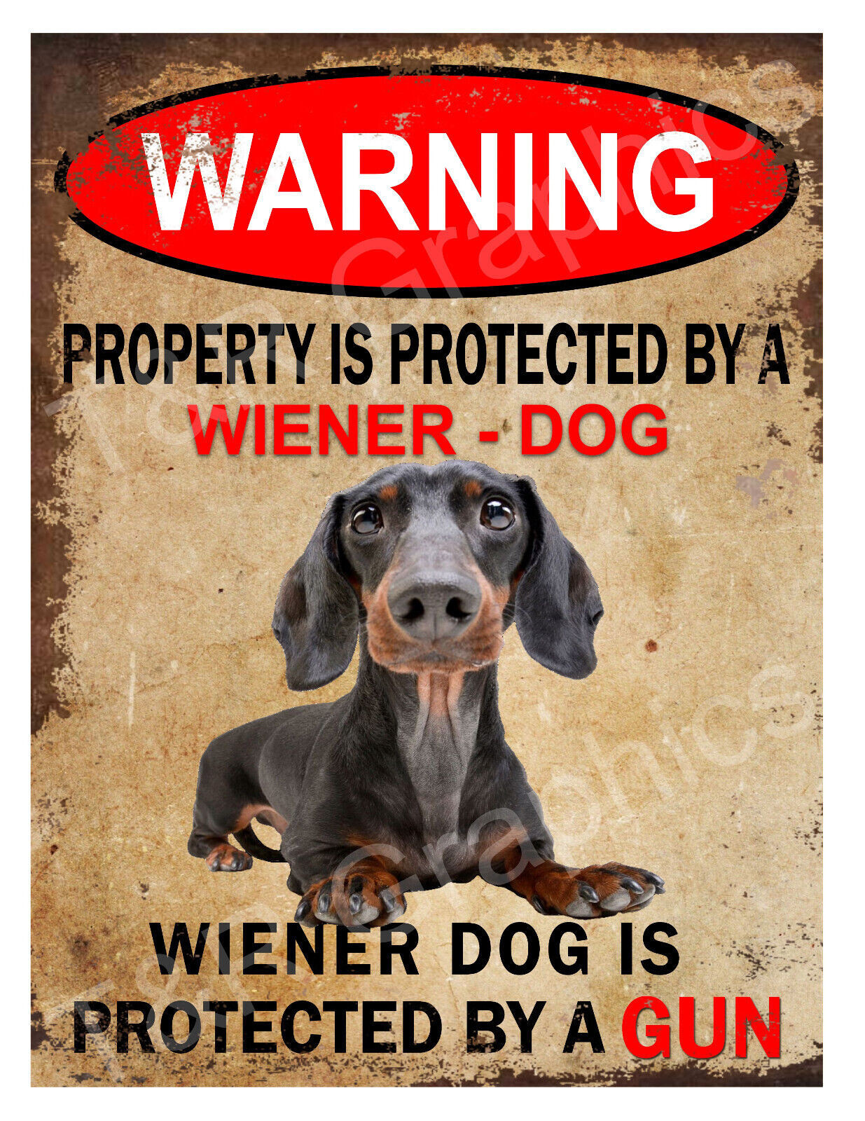 Metal sign Warning Property is Protected by a Wiener Dog Dachshund 9×12 inch