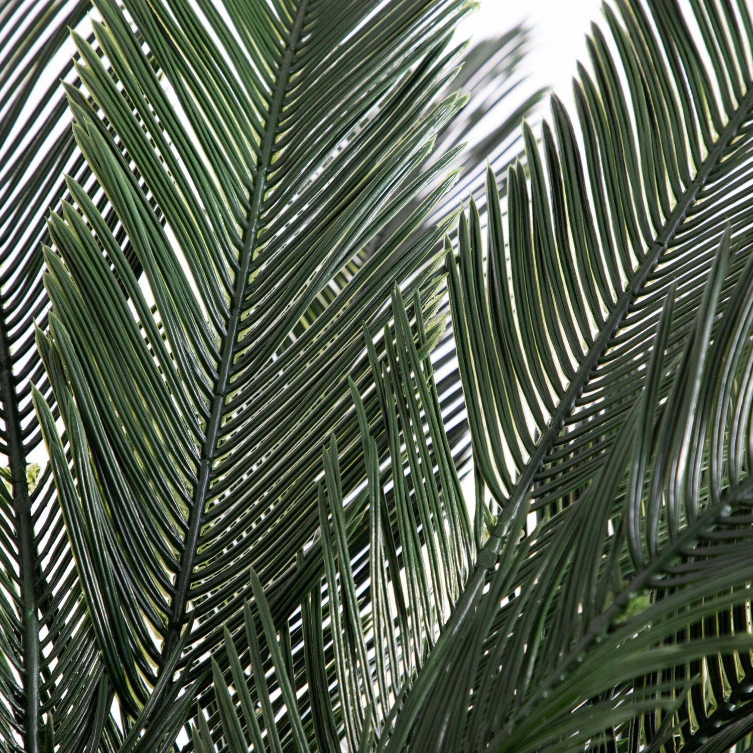 6 FT Cycas Palm Artificial Tree with Natural Trunk UV Indoor/Outdoor Home Decor.