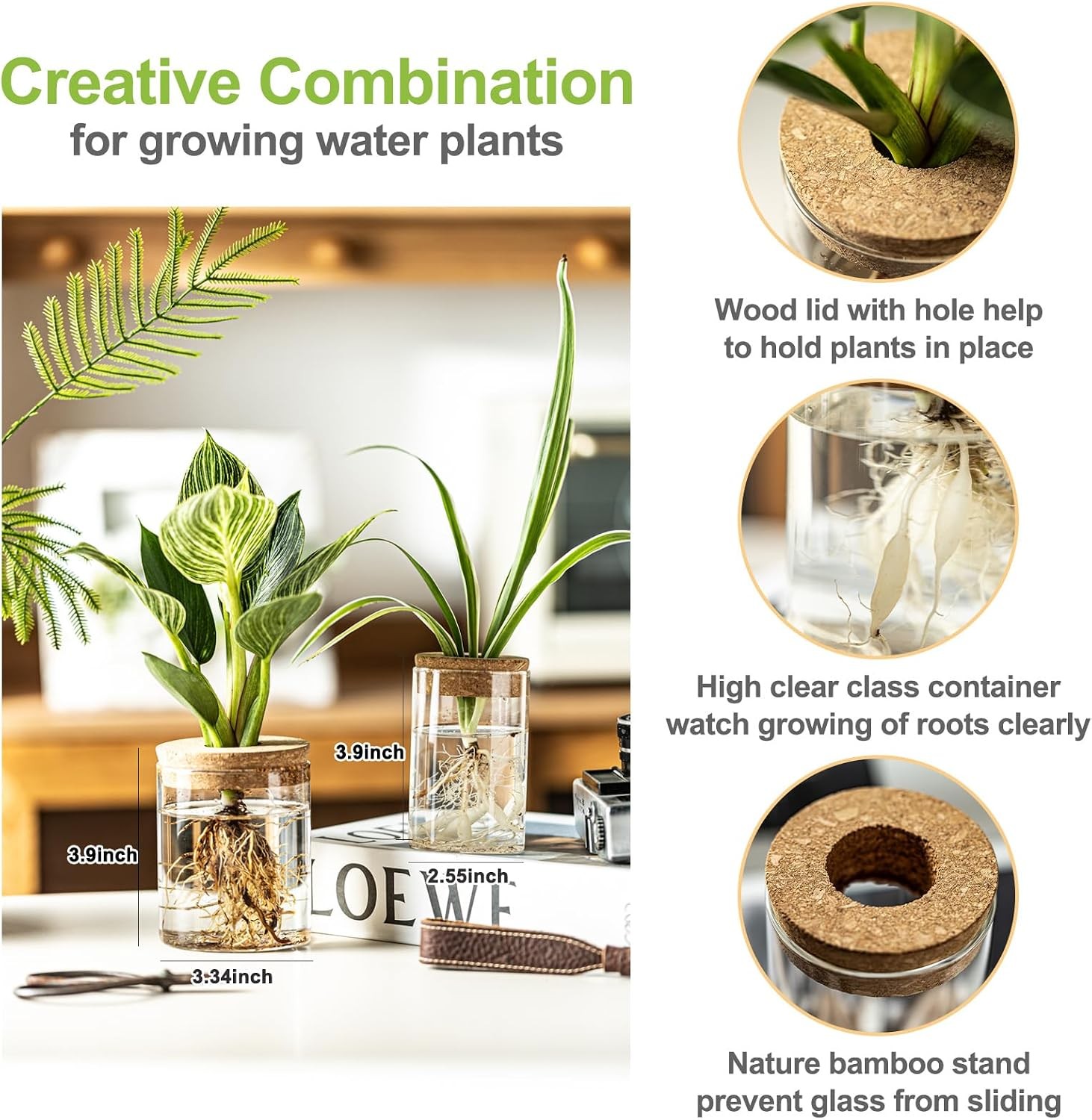 Glass Plant Propagation Stations for Plants – Set of 4(2 Large & 2 Small)