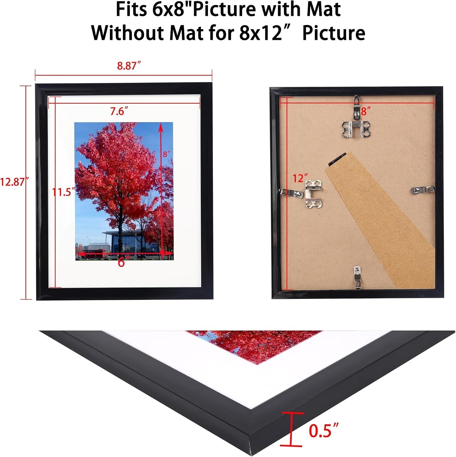 Modern Black Frame: 8×12 or 6×8 Photo & Certificate Display, Freestanding