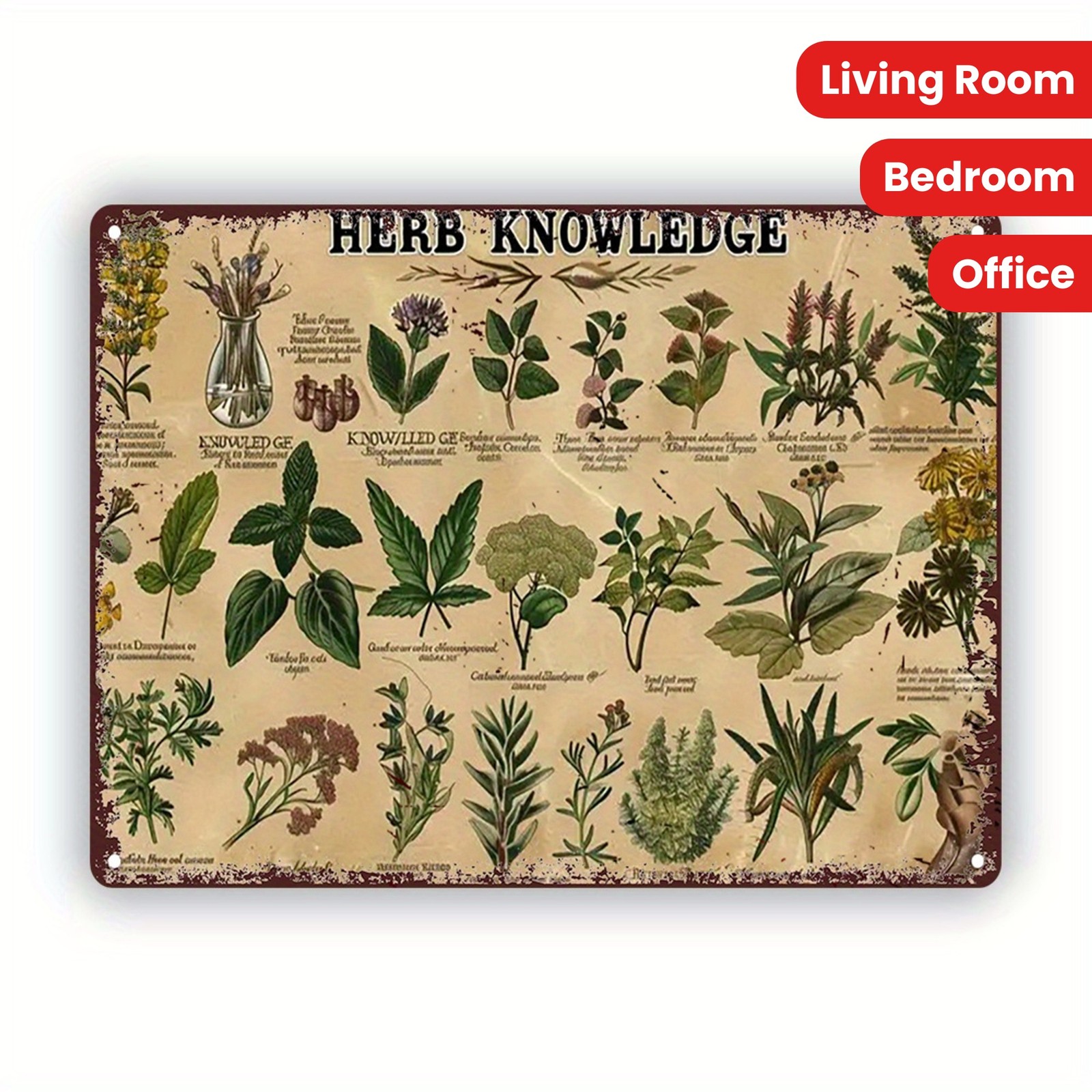 Vintage Herb Knowledge Metal Sign Botanical Wall Art Kitchen Garden Herbal Decor