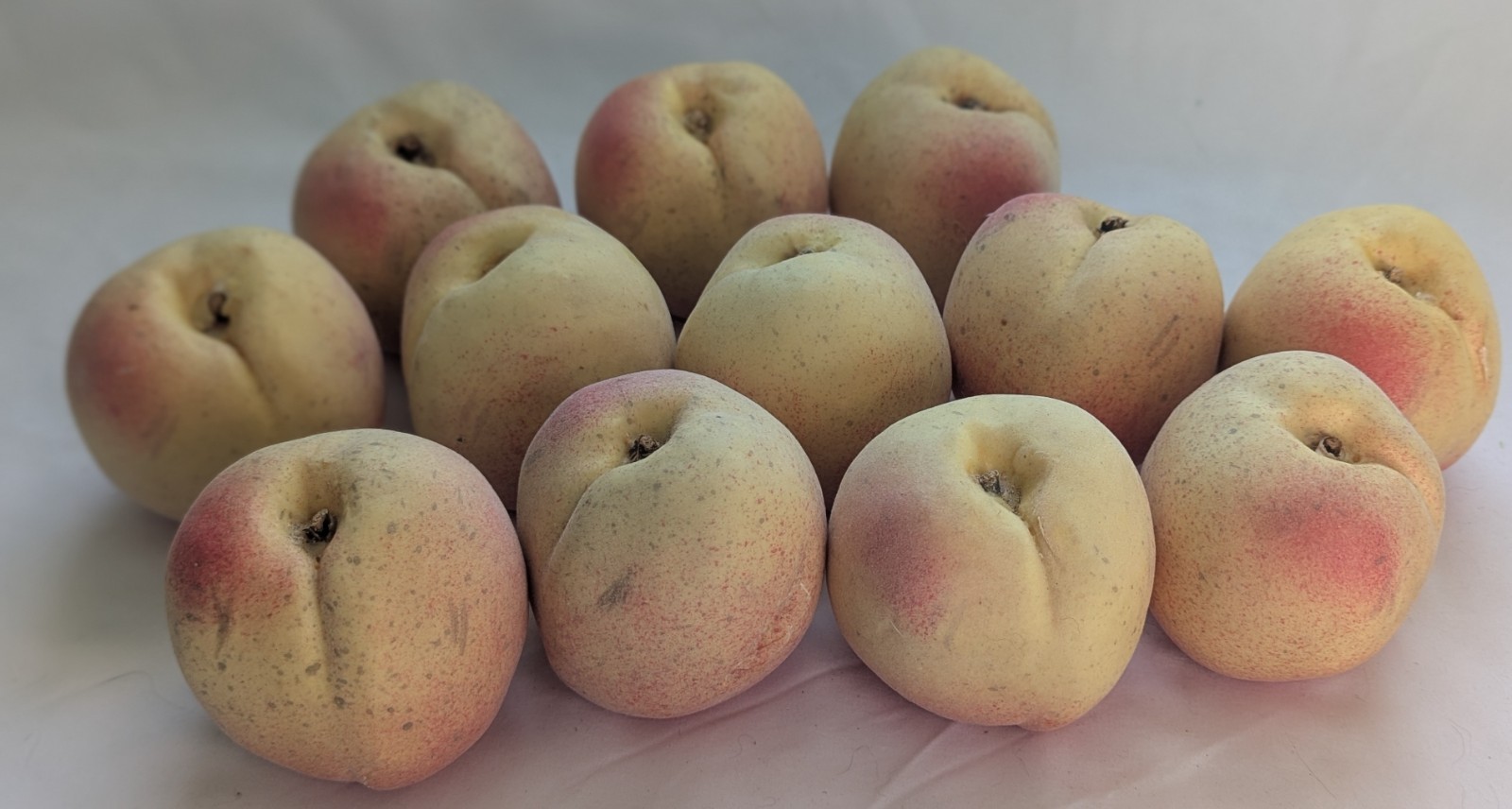 Faux FRUIT Life-Sized Yellow PEACHES 3&Prime; Fuzzy LIFELIKE lightweight Set/ LOT x12