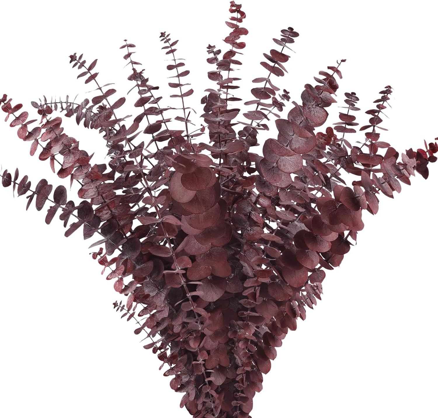 Real Dried Eucalyptus Stems, 20Pcs 17inch Red Preserved Fresh Eucalyptus